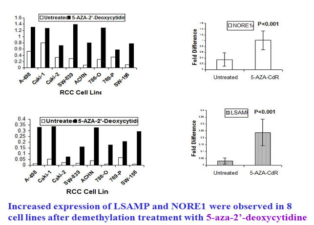 Demethylation treatment